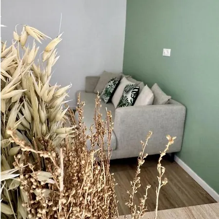Appartement Sejour Cosy Au Coeur De Fontainebleau